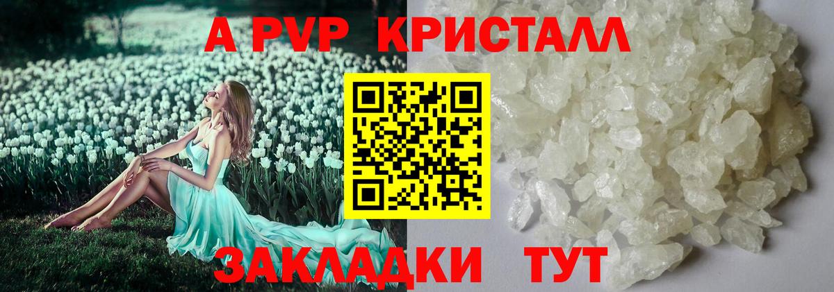 Alfa_PVP СК Большой Камень