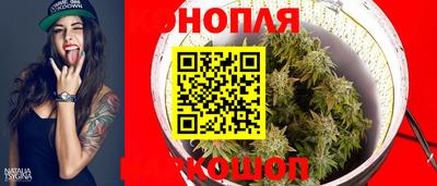 дмт Гудермес