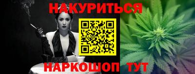 дмт Гудермес