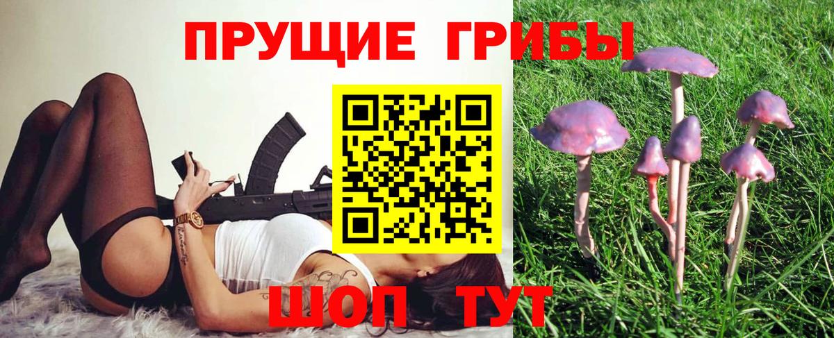 Псилоцибиновые грибы Psilocybine cubensis  где продают   Большой Камень  Вход с VPN  Псилоцибиновые грибы ЛСД 