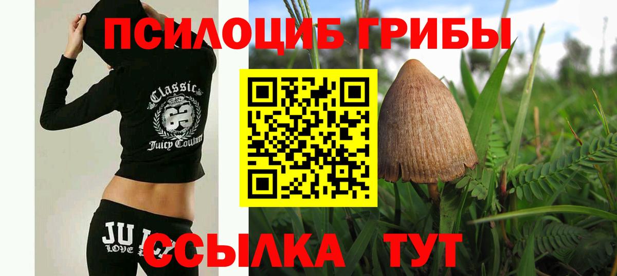 Псилоцибиновые грибы Magic Shrooms Большой Камень